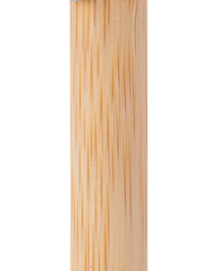 Ishania inkless pen